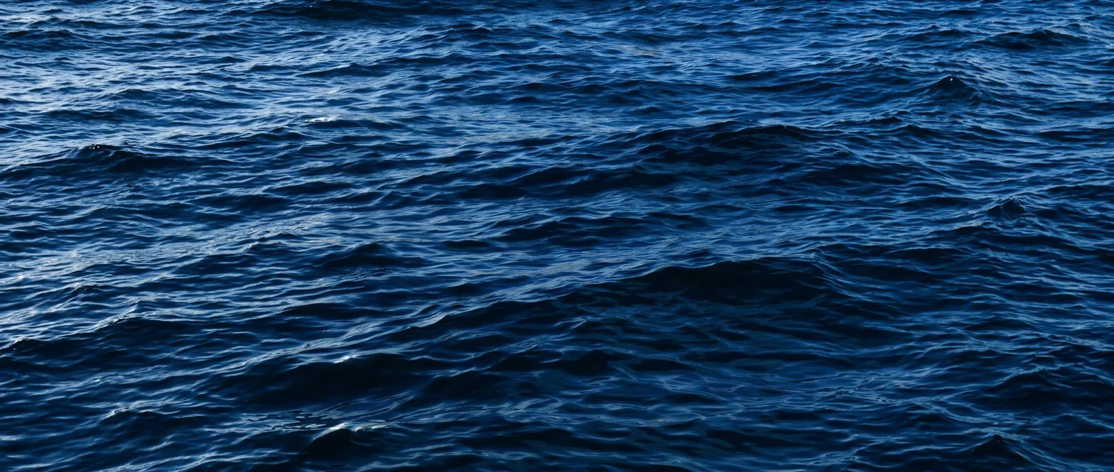 Open ocean — Nautigen Marine Biomolecular Exploration